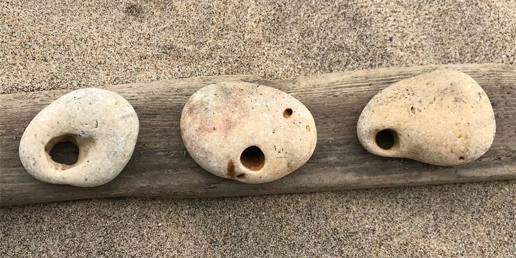 Behind the Story - Hagstone - Chloe Turner - Reflex Press