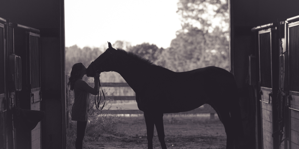 Cowgirl Blues. Photo by Kenny Webster on Unsplash