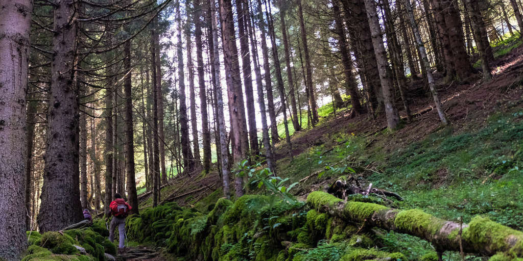 The Ascent. Photo by Alberto Bigoni on Unsplash