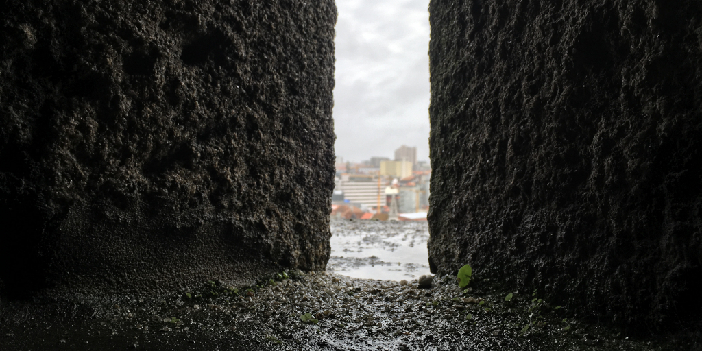 View From The Top. Photo by Judy Darley