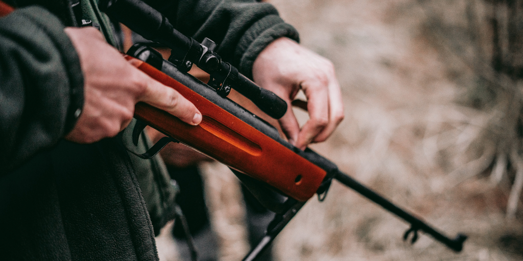 Animals. Photo by Sebastian Pociecha on Unsplash_crop