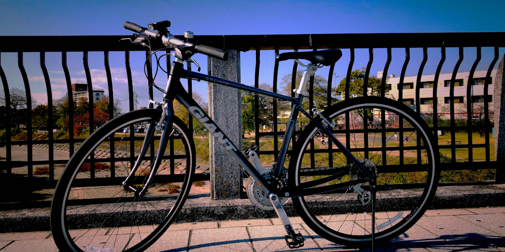 Freewheeling. Photo by shota James on Unsplash