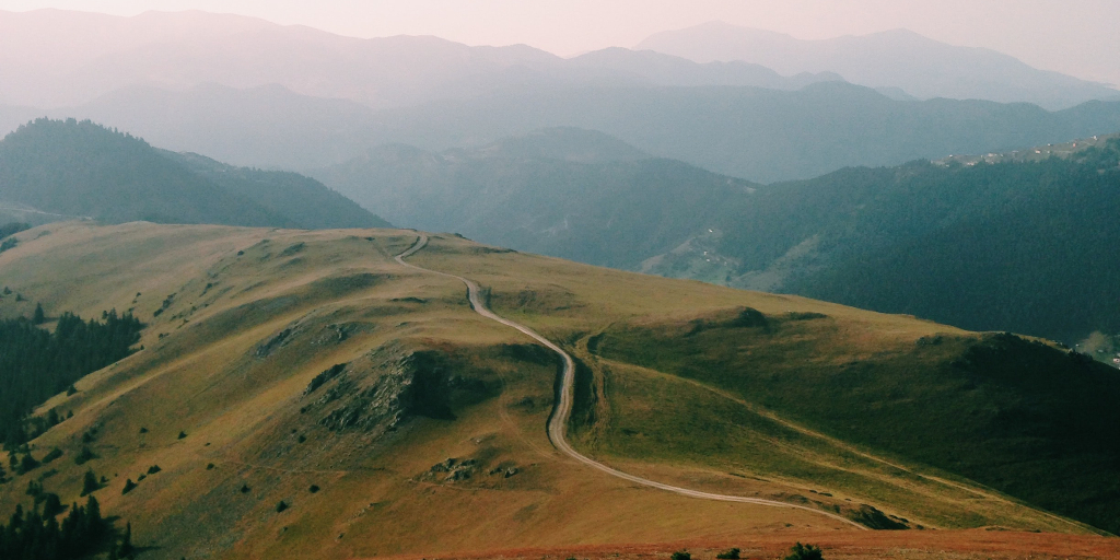 The Sweet, Dank Grasping of the Land. Photo by Cagatay Orhan on Unsplash