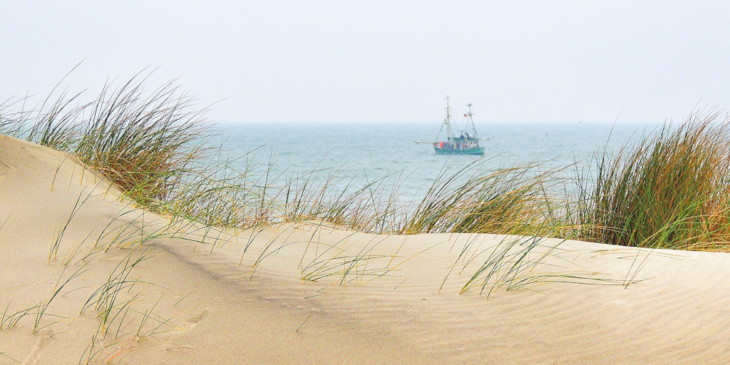 Balmedie. Photo by Christian Paul Stobbe on Unsplash. Shows sand dunes and sea.